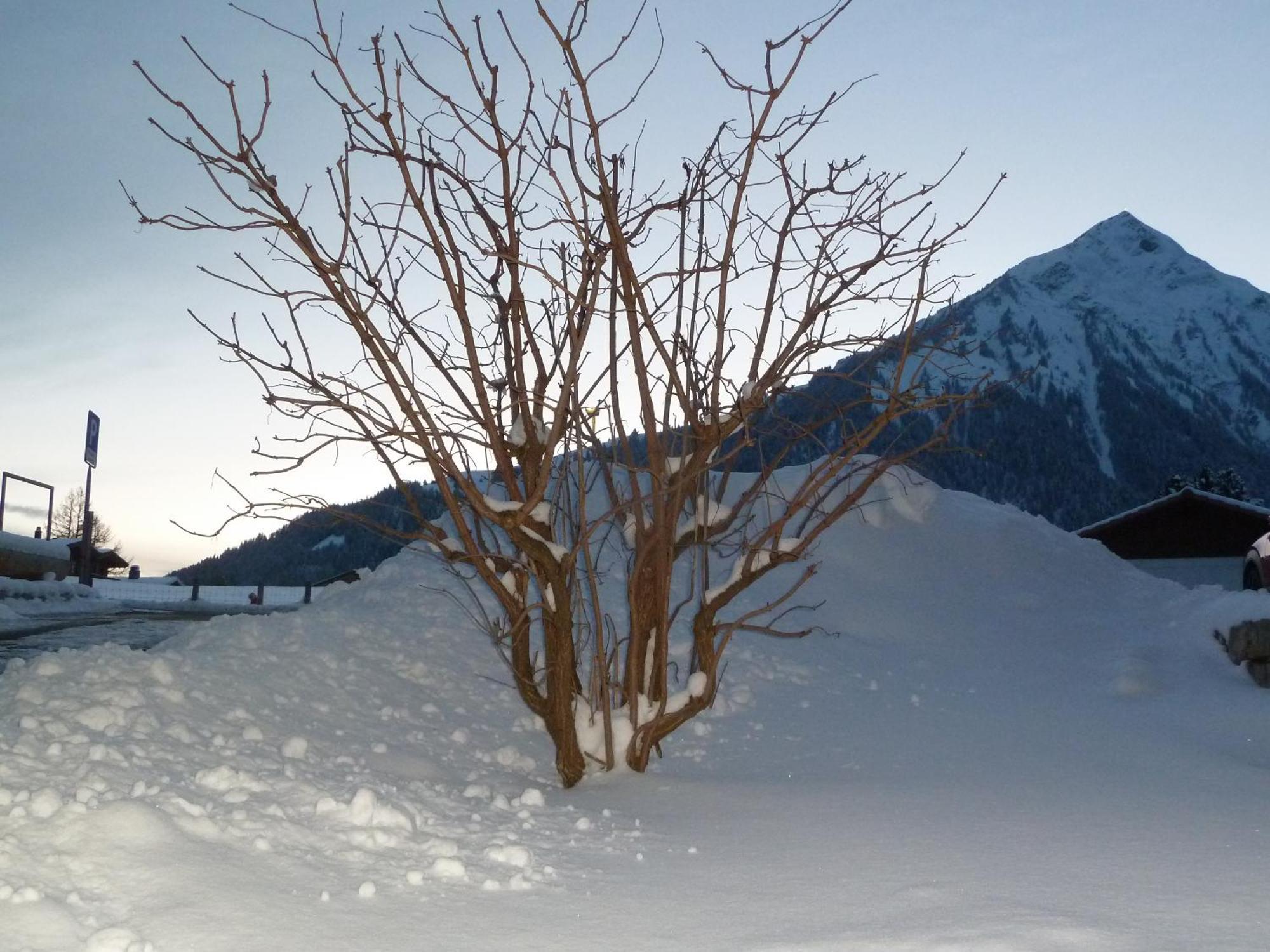 Hotel Restaurant Sunnmatt Aeschi Bei Spiez 外观 照片