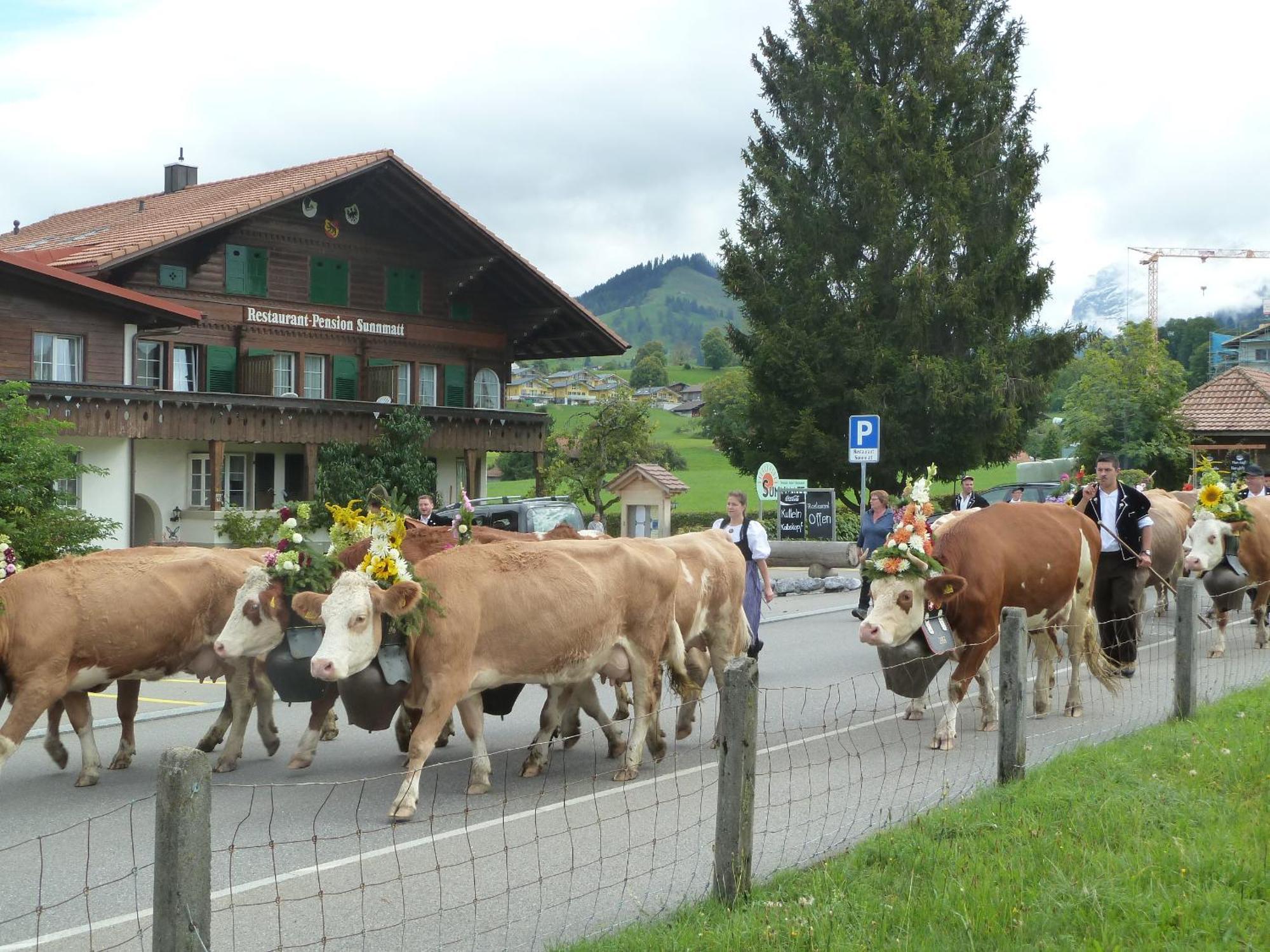 Hotel Restaurant Sunnmatt Aeschi Bei Spiez 外观 照片