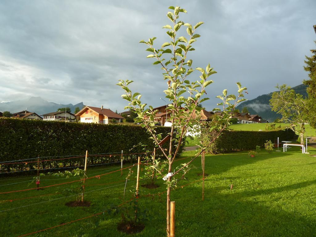 Hotel Restaurant Sunnmatt Aeschi Bei Spiez 外观 照片