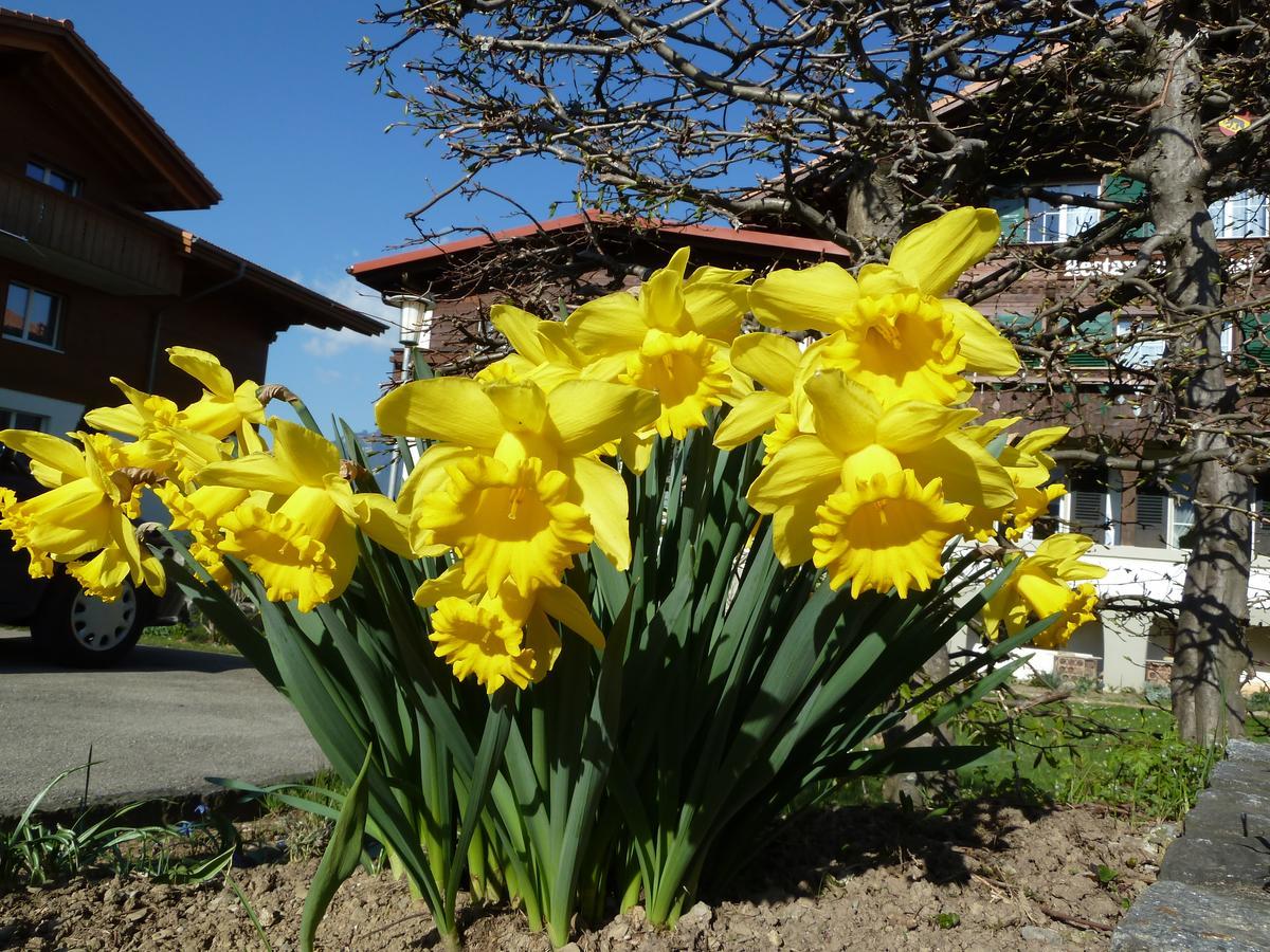 Hotel Restaurant Sunnmatt Aeschi Bei Spiez 外观 照片