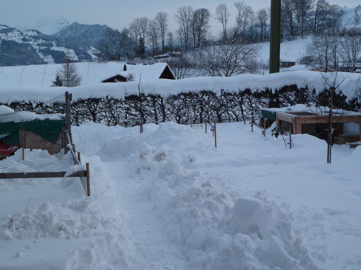 Hotel Restaurant Sunnmatt Aeschi Bei Spiez 外观 照片